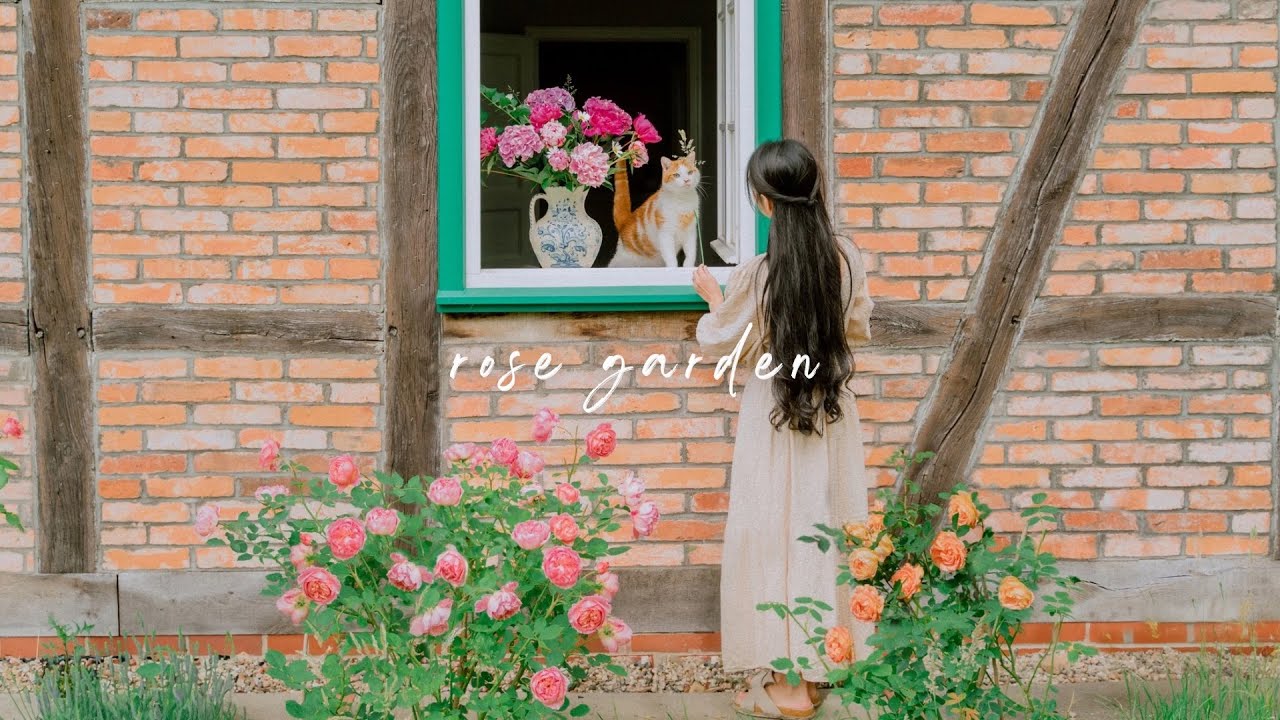 #149 Cultivar rosas - Um guia completo para principiantes: Plantar, Cuidar, Colheita...