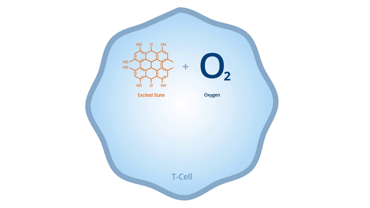 Soligenix T Cell Animation