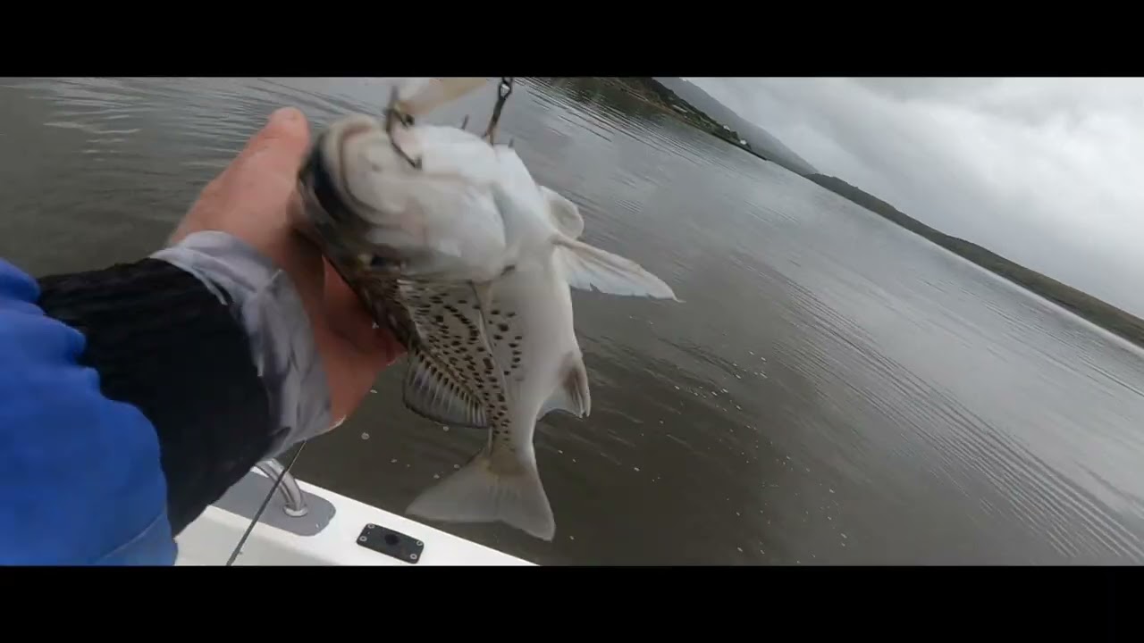 Lure fishing in witsand breede river