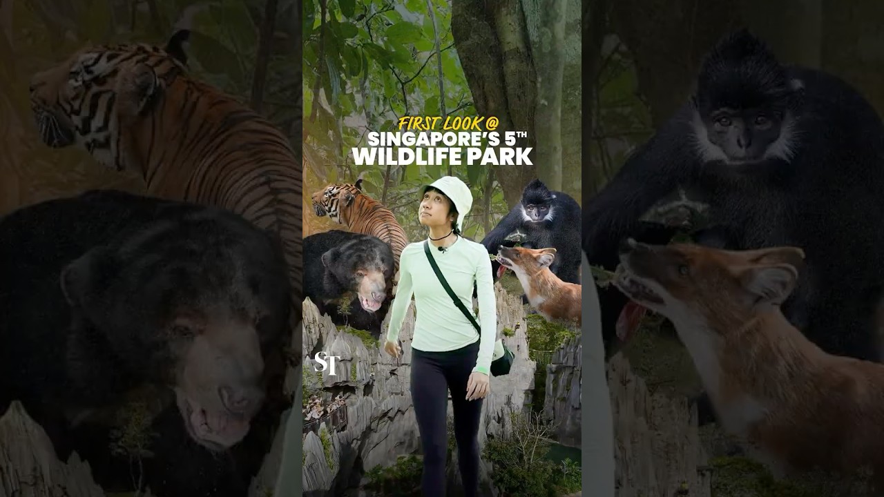 First walkthrough at Rainforest Wild Asia in Mandai