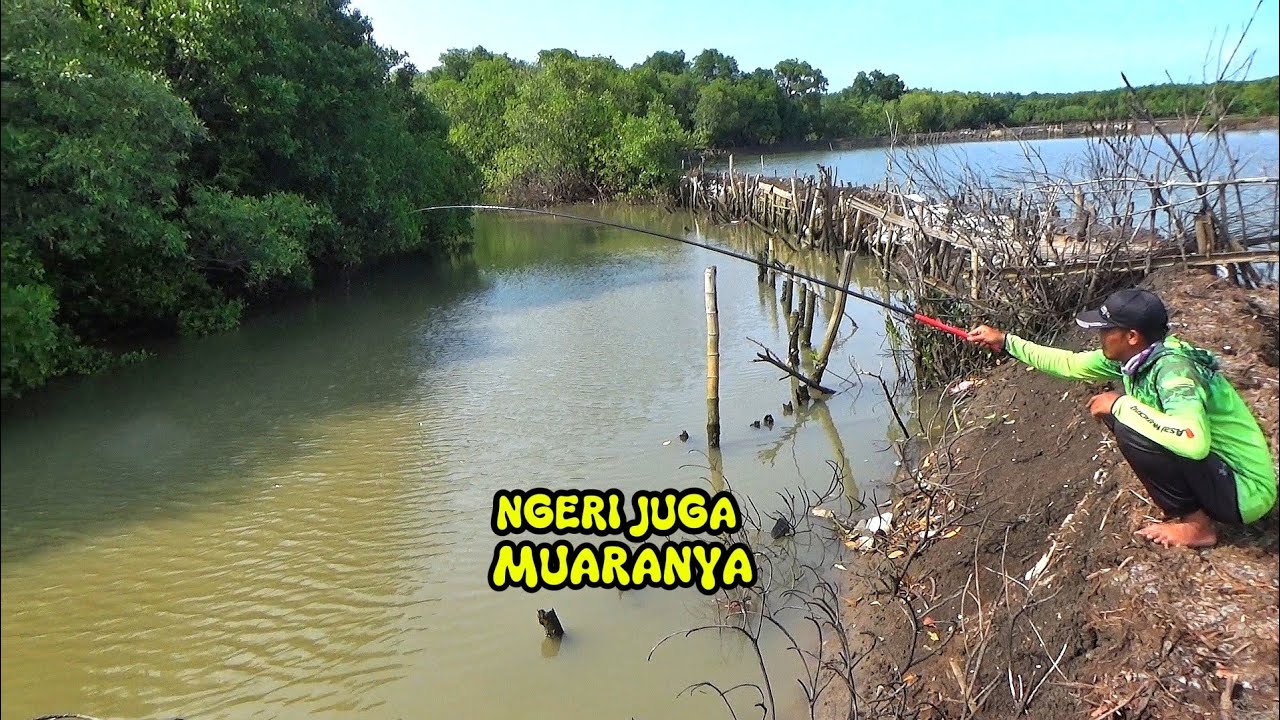 Di awali mancing di muara,selokan sampai di sungai yang di datangi banjir