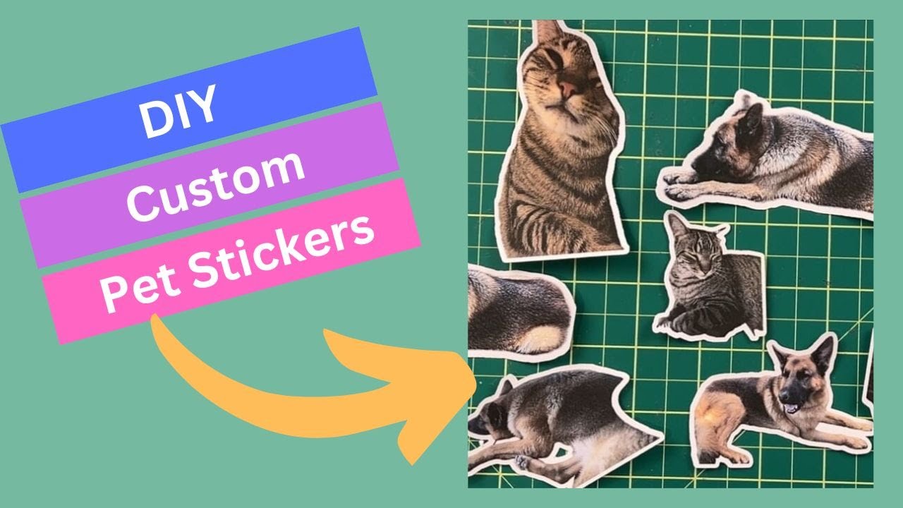 DIY Pet Stickers - Custom Pet Sticker - Quick Stickers with Cricut & iPad
