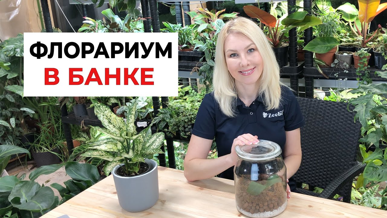 Флорариум в банке своими руками. Пошаговая инструкция