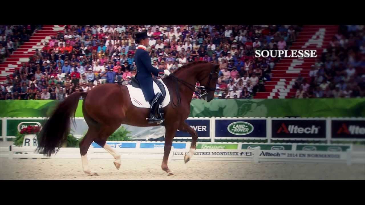 Wij zijn paardensporters!