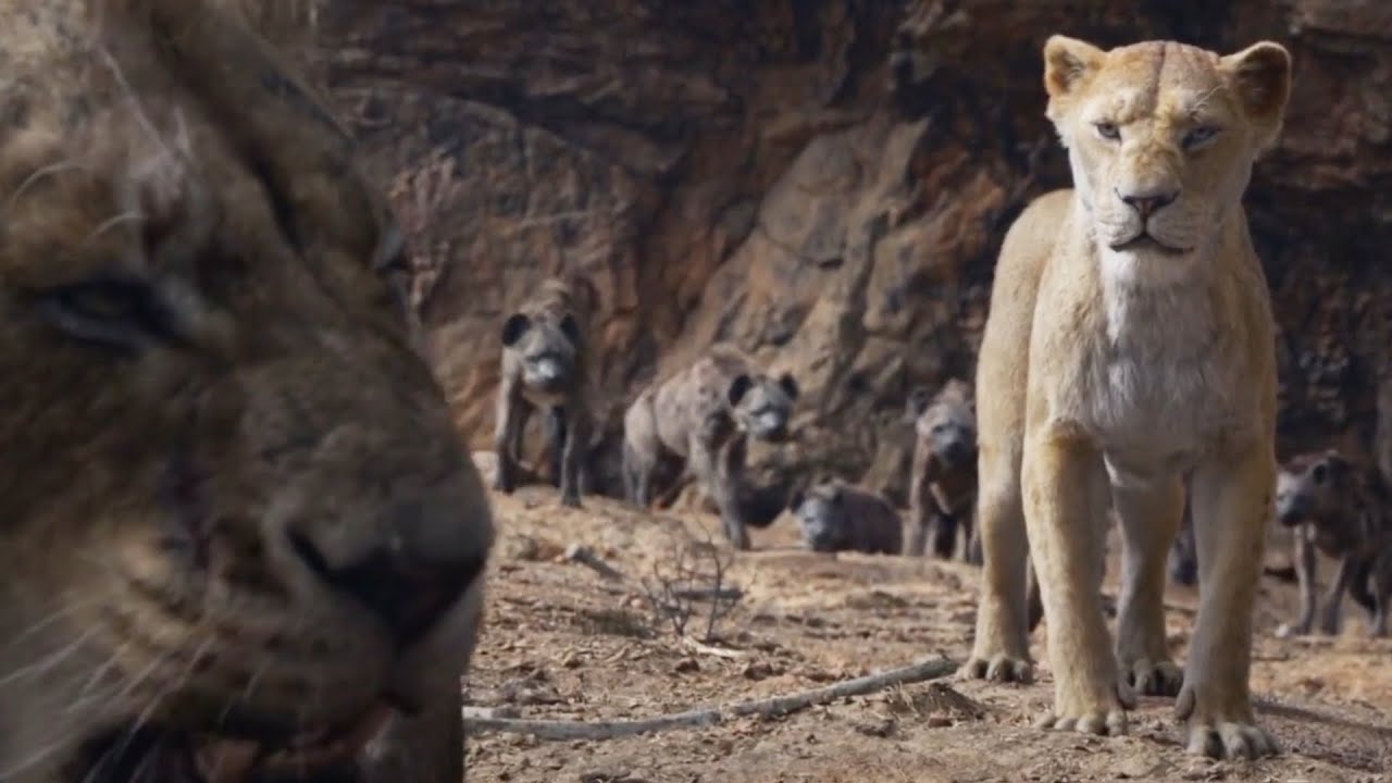 Scar&rsquo;s Proposal to Sarabi scene | THE LION KING | Movie Scene (2019)