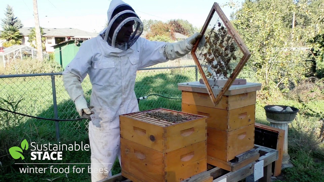 Зимний корм для пчел