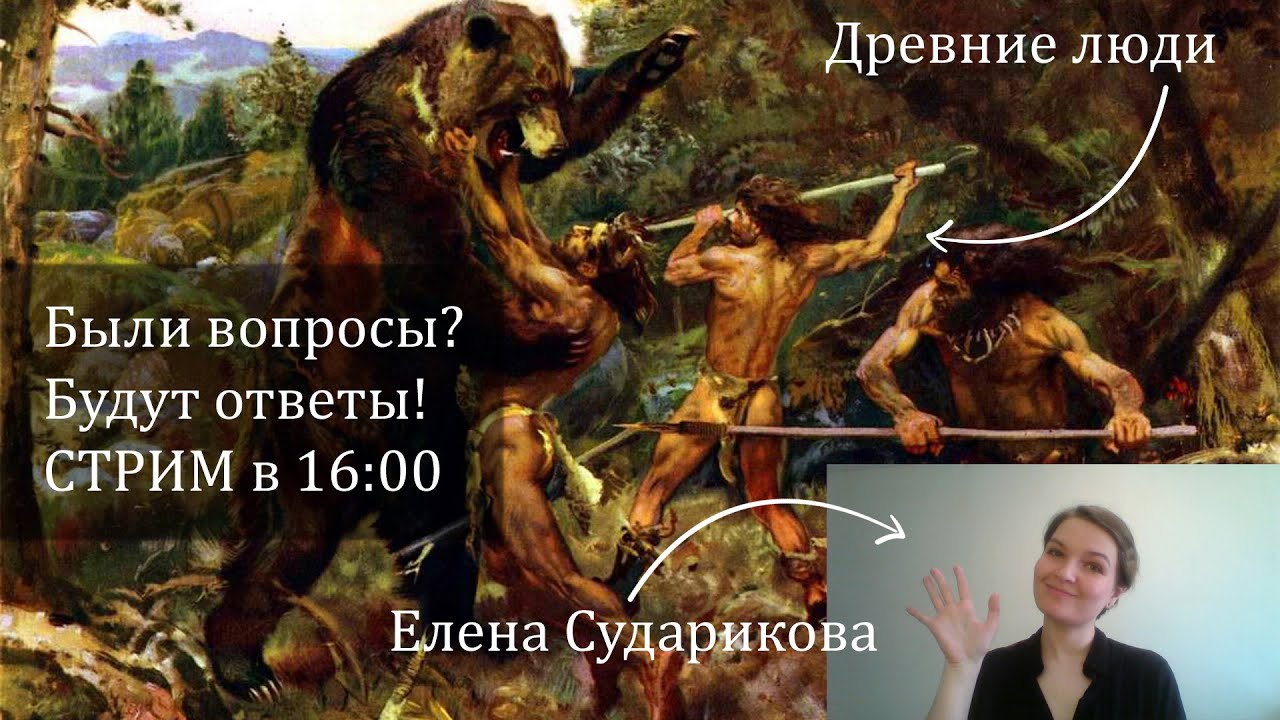 Стрим с Еленой Судариковой: ответы на вопросы