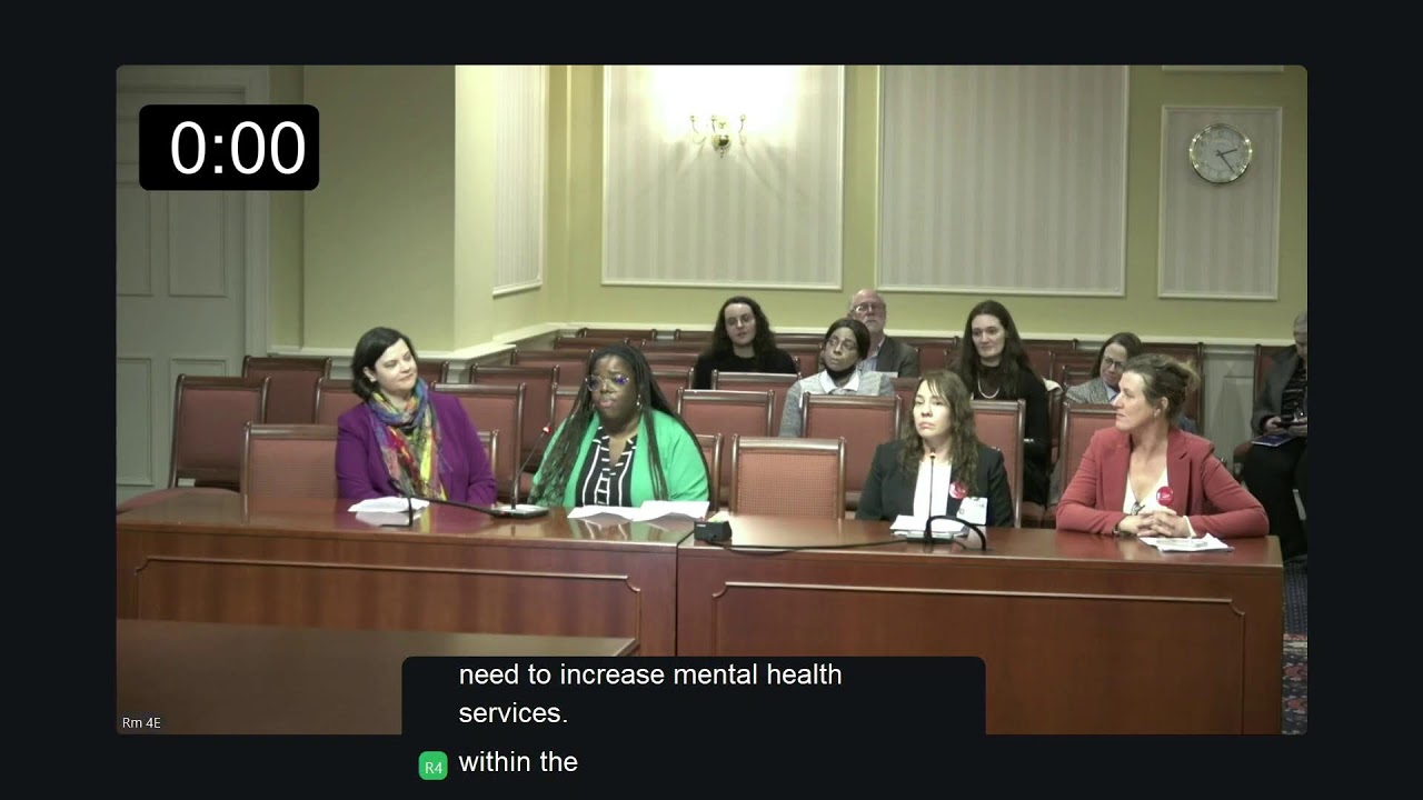 HHS Committee Session, 3/5/2026 #1
