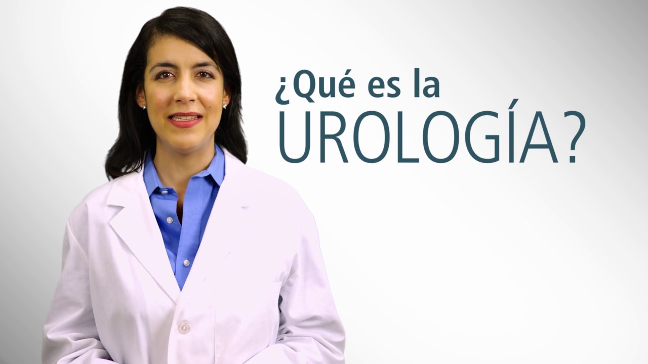 Introducci&oacute;n a la Urolog&iacute;a - Urology Care Foundation