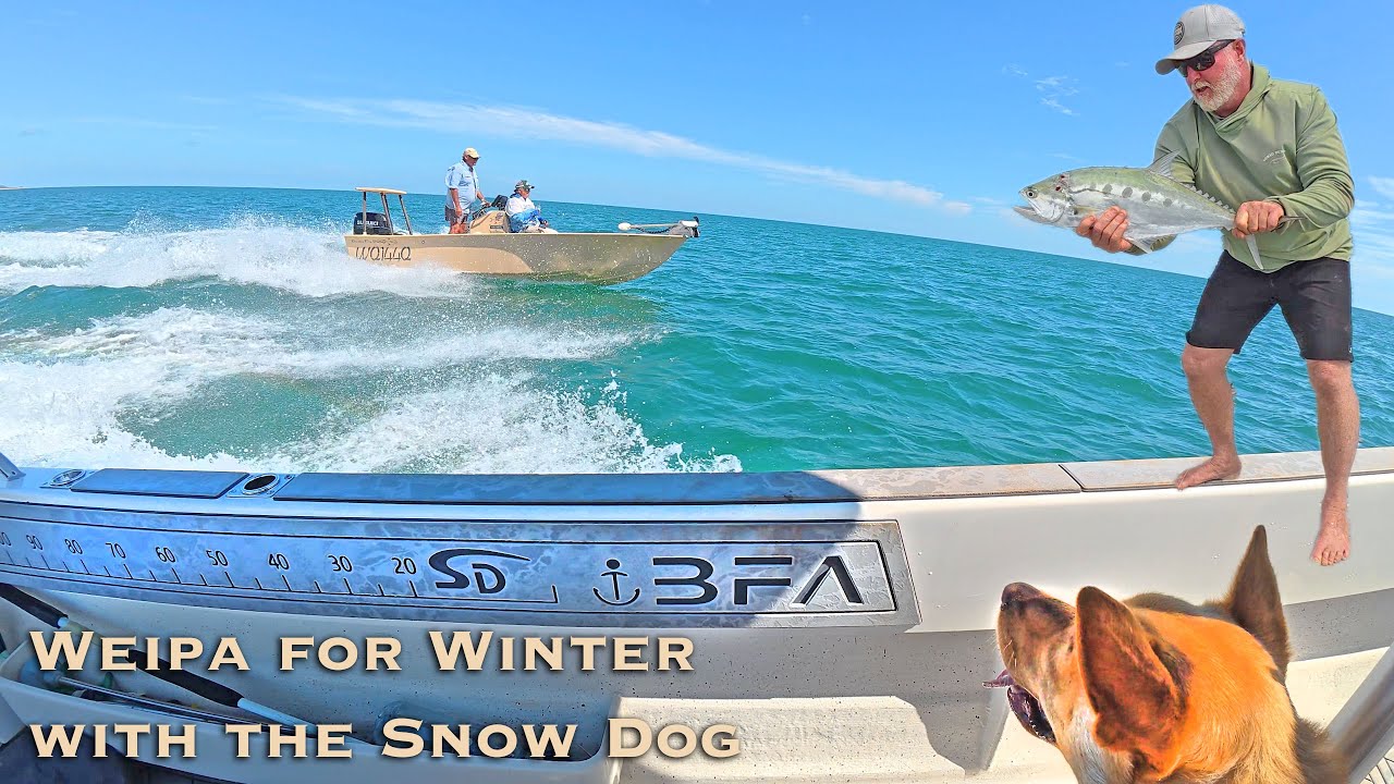 Weipa for Winter with the Snow Dog