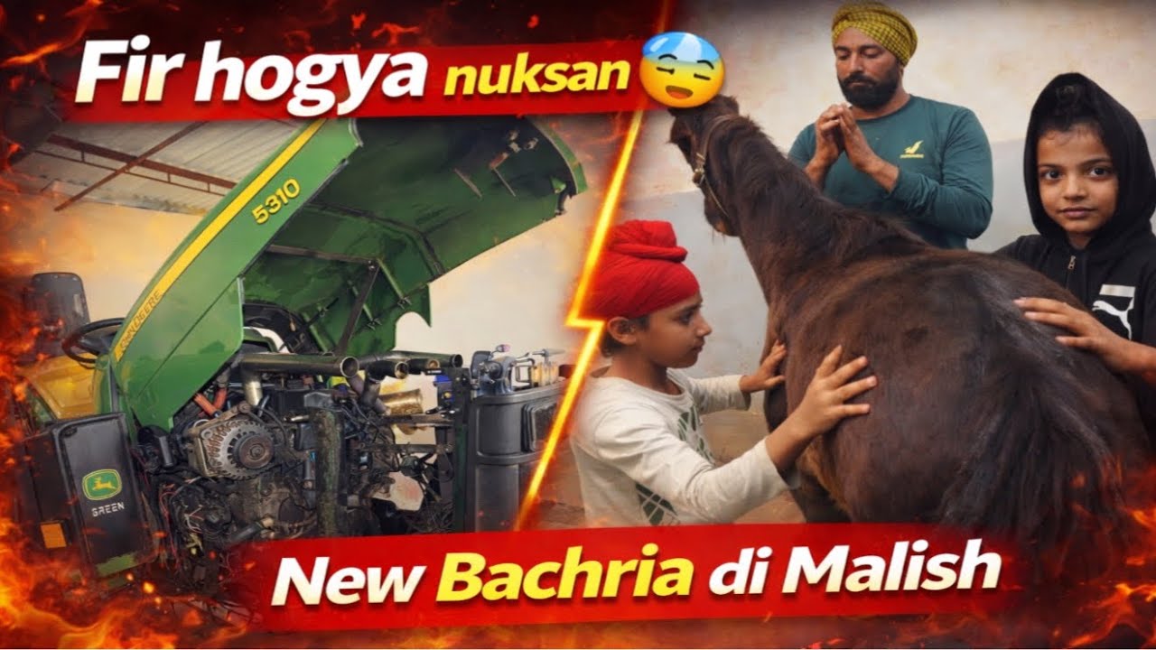 WaterBody da hogya Farud apne nal😵‍💫//New Fillya di kiti seva🐎