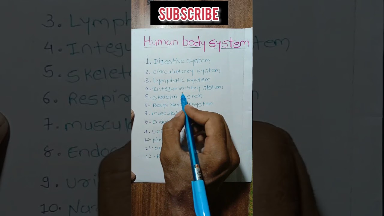 Human body systems name | all human body systems