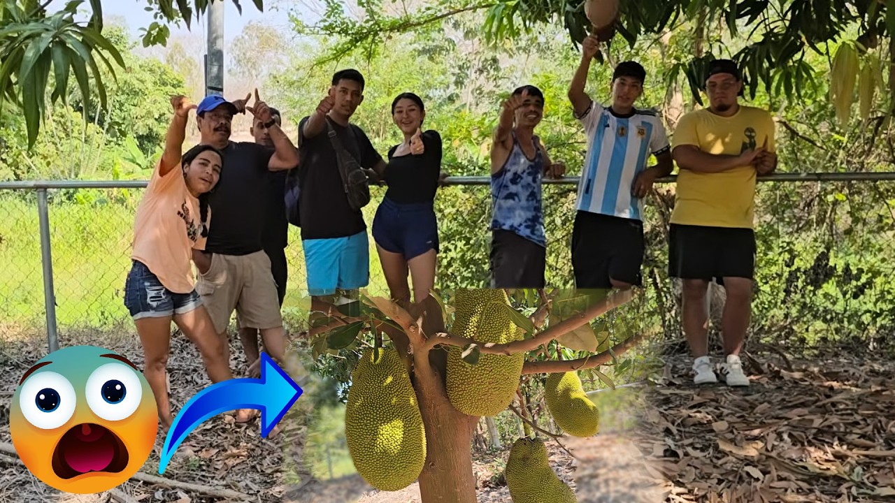 ¿ Como conocen esta fruta en tu país ?