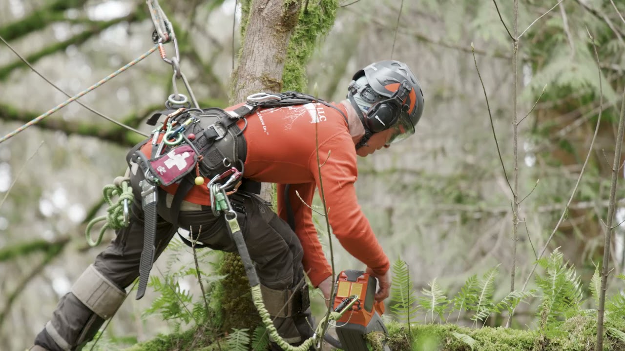 592 XP Chainsaw Product Review - Bram Granger
