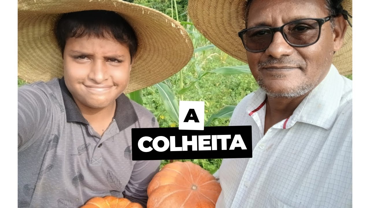 A Colheita