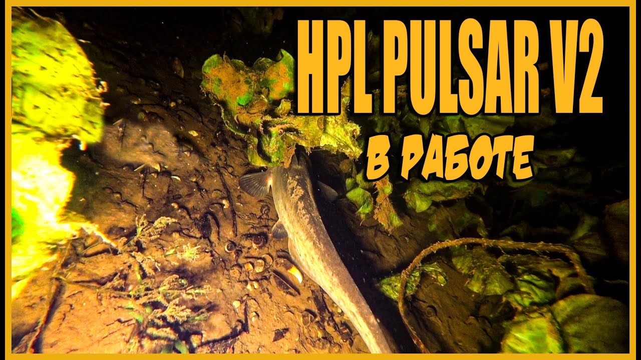 НОЧНАЯ ПОДВОДНАЯ ОХОТА | ФОНАРЬ HPL PULSAR V2 В РАБОТЕ | ПОДВОДНАЯ ОХОТА 2021