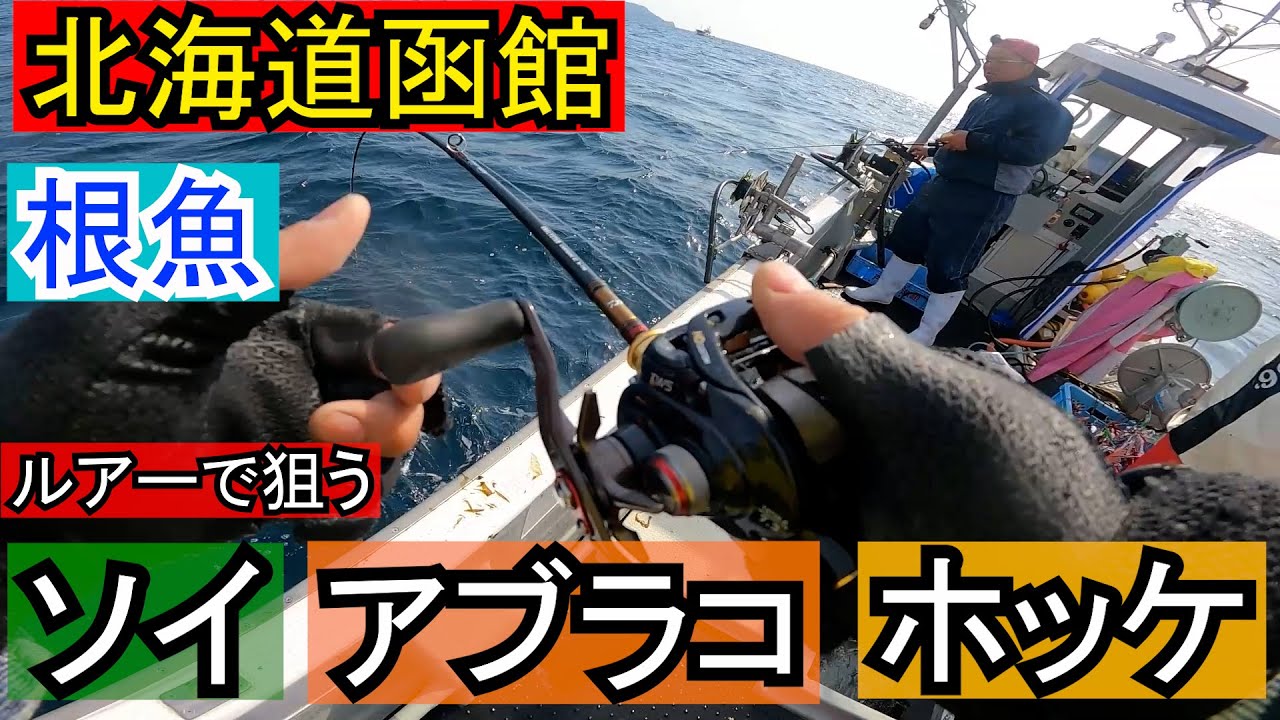 北海道函館　和船で根魚を釣る　ソイ　アブラコ　ホッケ