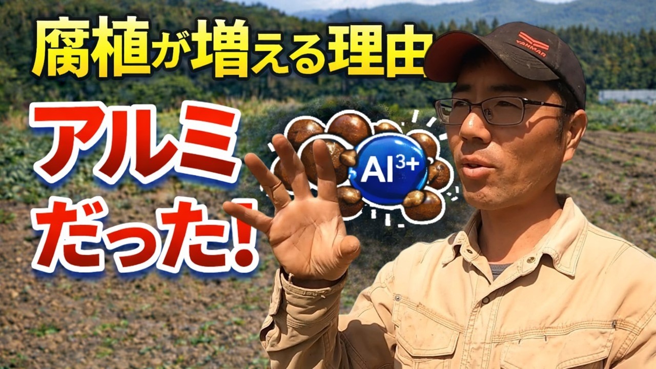 腐植が増える理由アルミでした　Why Soil Becomes Black　The Secret of Humus