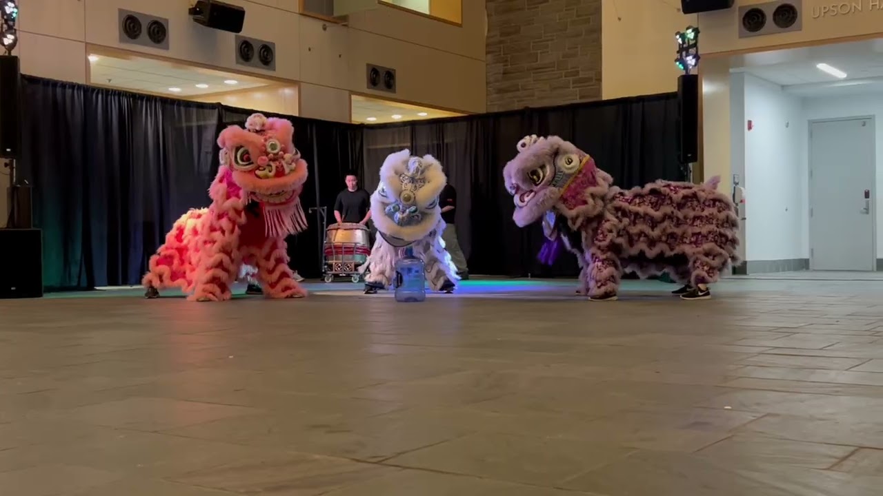 TASA Night Market 2025 Cornell Lion Dance