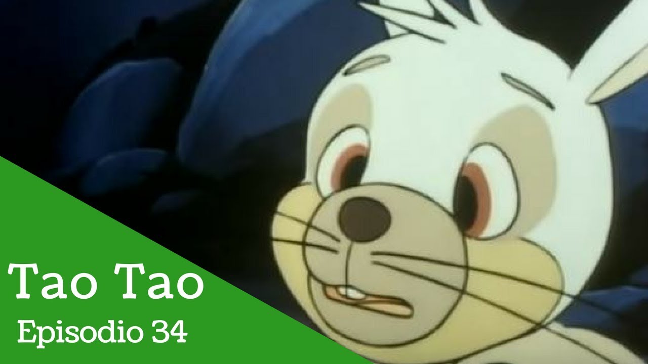Tao Tao: Episodio 34- La liebre presumida