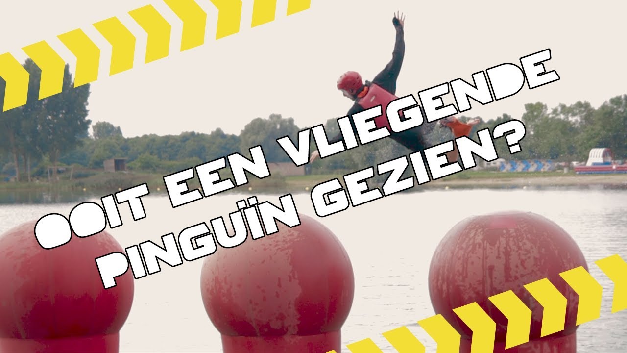 Wipeout live verslag 2 - ooit een vliegende pinguïn gezien?