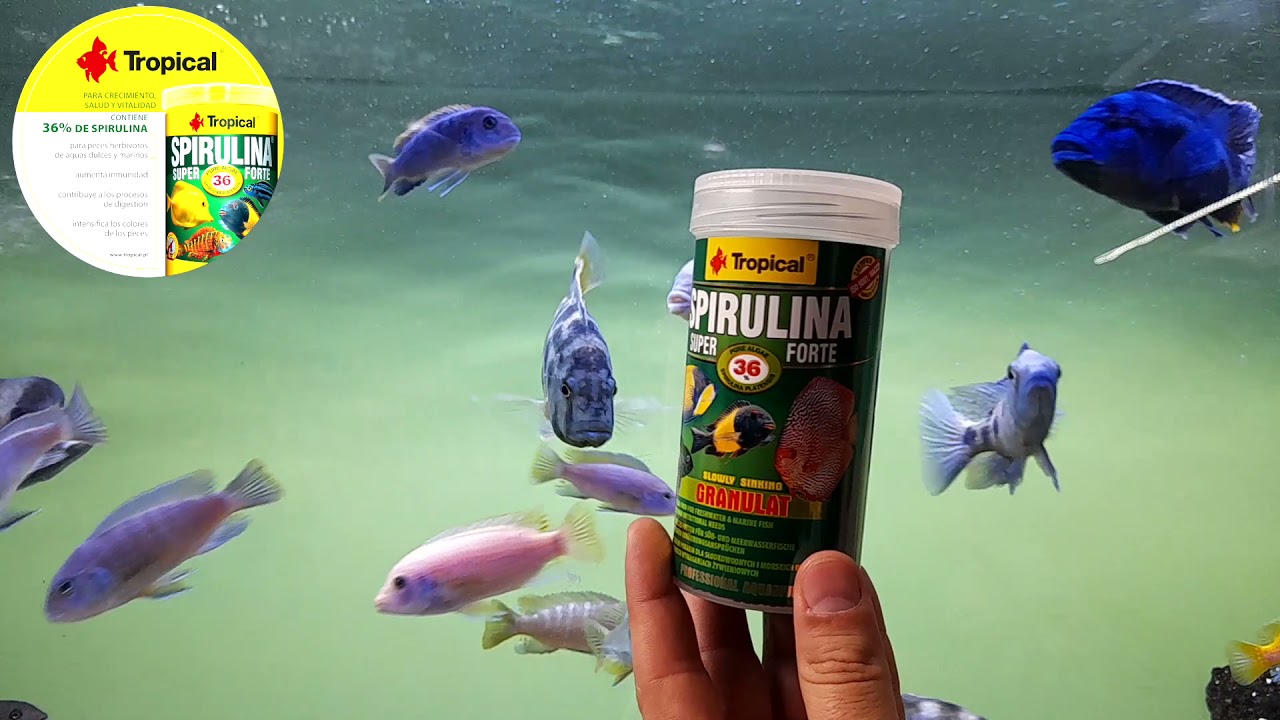 Te presentamos la Linea verde de Tropical.