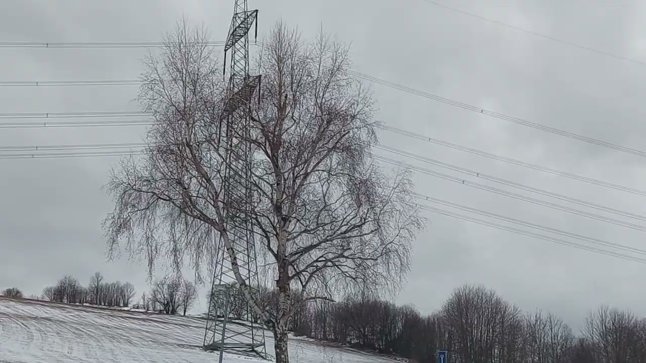deswegen - meeries (Official Video) 5/5