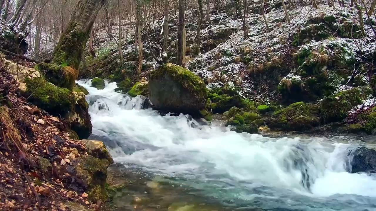 10 Hours of Peaceful River Ambience – Nature ASMR for Deep Sleep #asmr #asmrsounds #nature #relax