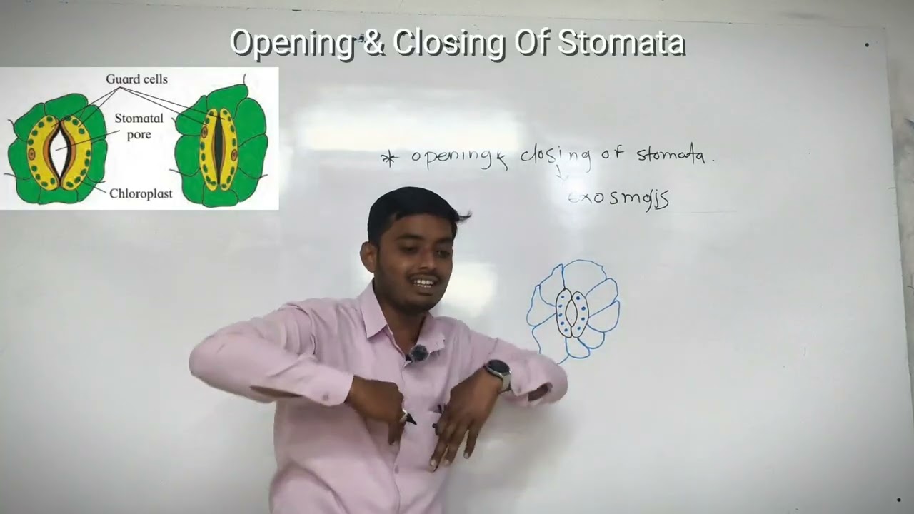 Opening and closing of Stomata by Roshan khan Sir 
