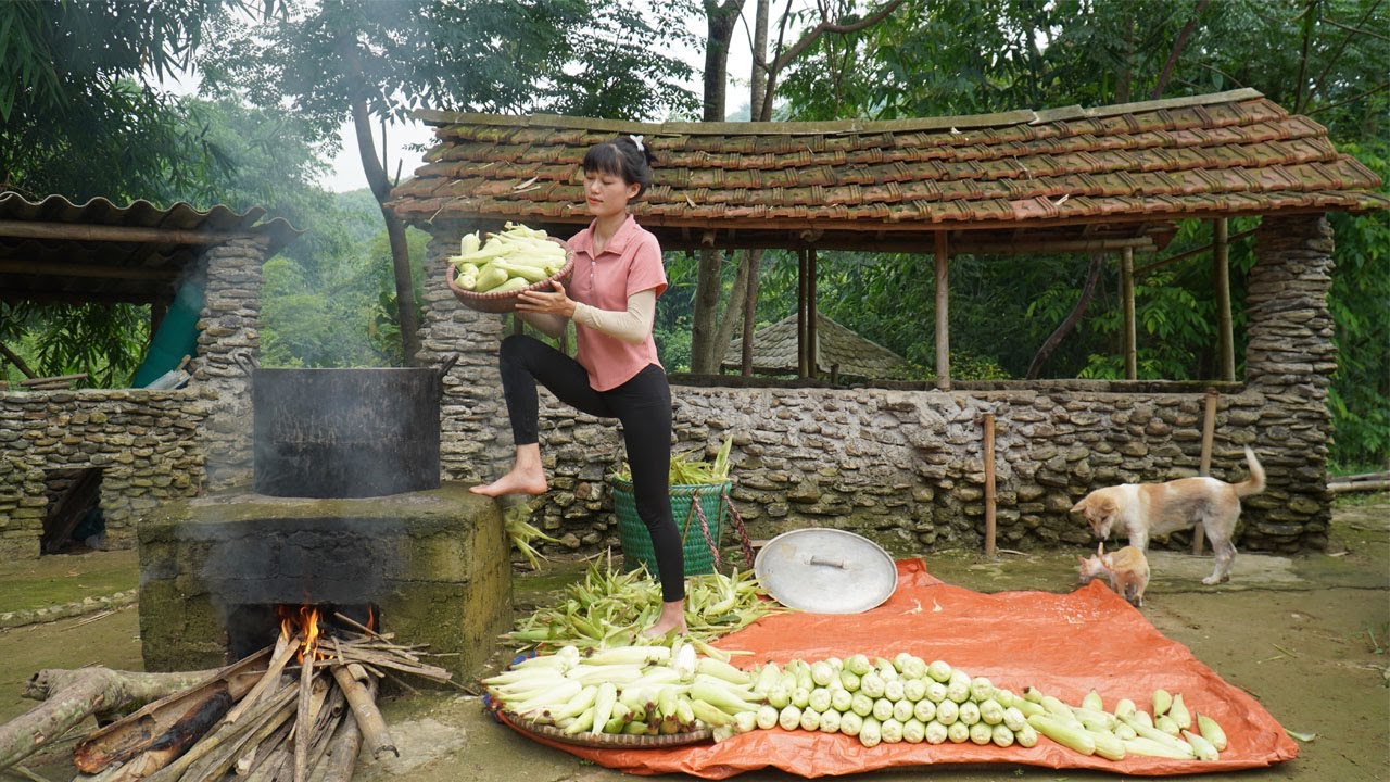 Harvest a lot of young corn and cook it for food to sell - Green forest life - Farm daily life