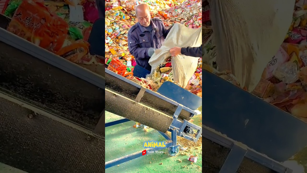 Turn Food Waste Into Gold: Profitable Animal Feed Innovation
