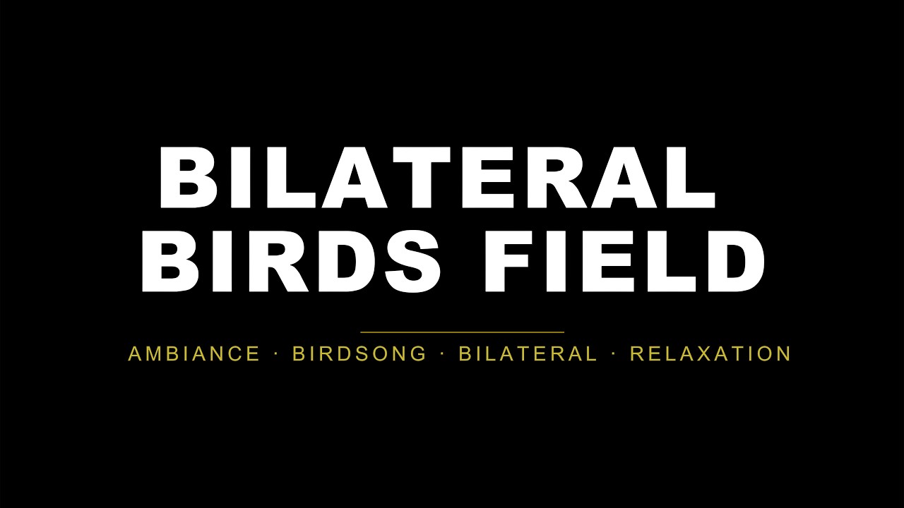 Bilateral + Birds & Harmonies: Relaxing Bird Sounds with Soothing Melodies for Deep Relaxation