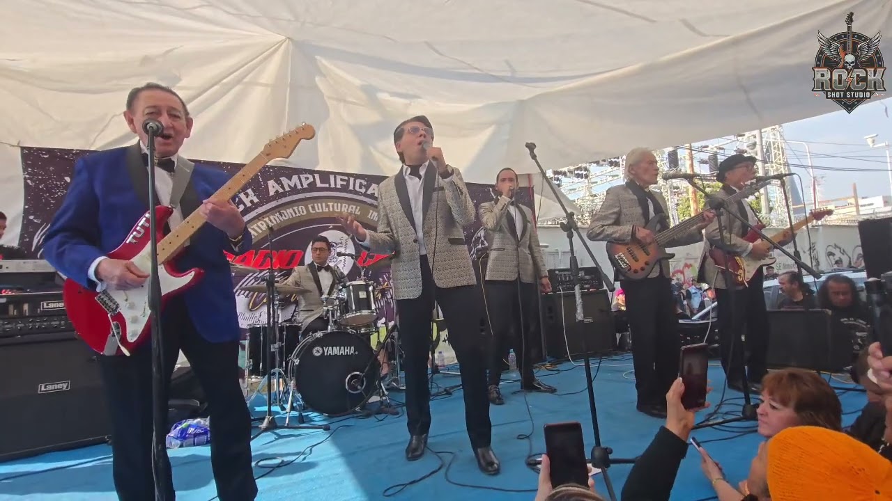 LOS TEEN TOPS en el Tianguis Cultural Del Chopo Segunda parte