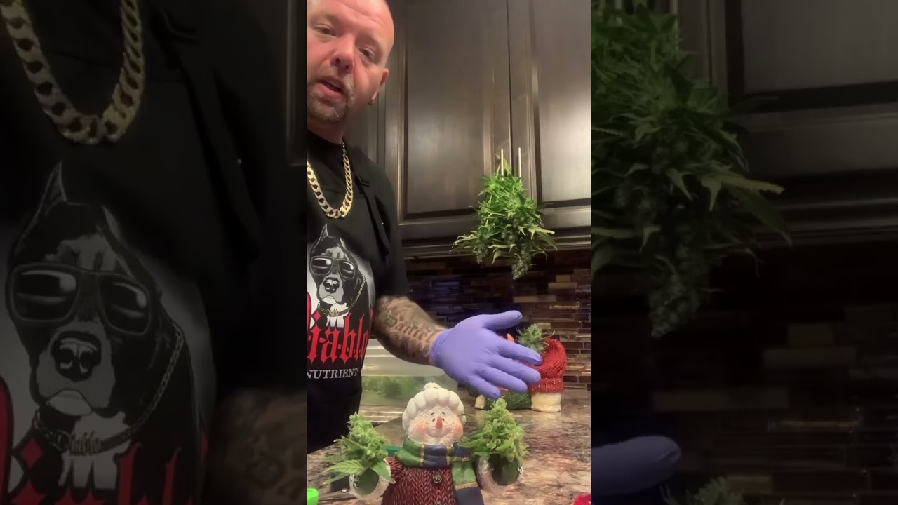 Educational purposes only Wet trimming