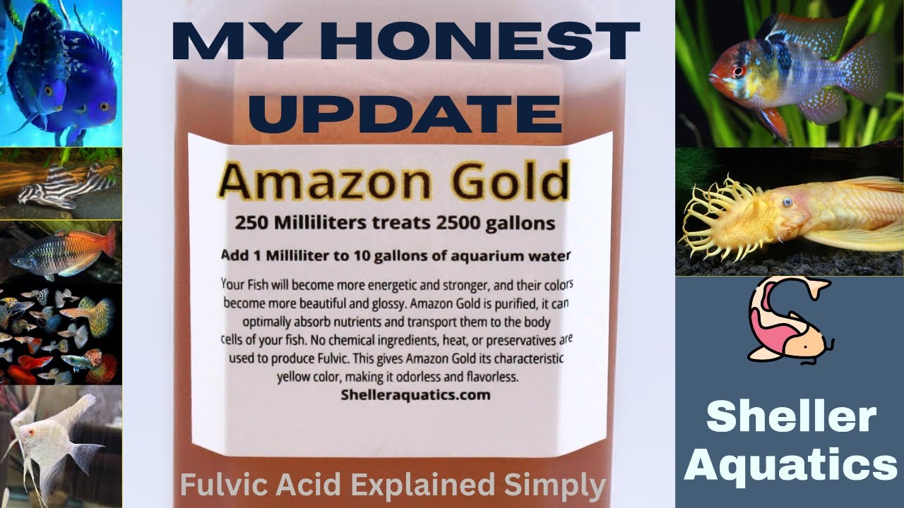 “Fulvic Acid Explained: Why My Disease Problems Disappeared + Amazon Gold Legal Update”