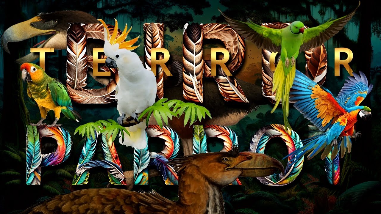 Terror birds and Parrots