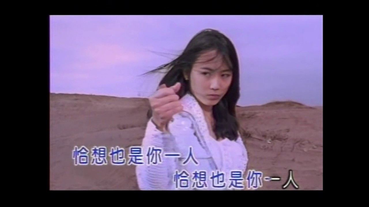 沈文程 流浪的吉他 台語 流行 DVD原唱