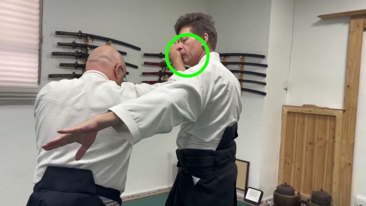 Ogawa Ryu - 骨法術 Koppō-jutsu - Excellent Explanation!