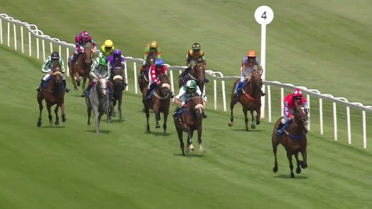 148 Dragon (TV & Film) Studios Racecourse Series - Chepstow Racecourse. 26th August 2024