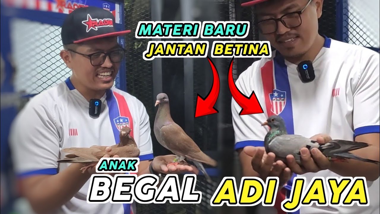 GEBRAKAN TERBARU 2026 !! BINTANG RADEN BOYONG ANAK BEGAL TEAM ADI JAYA