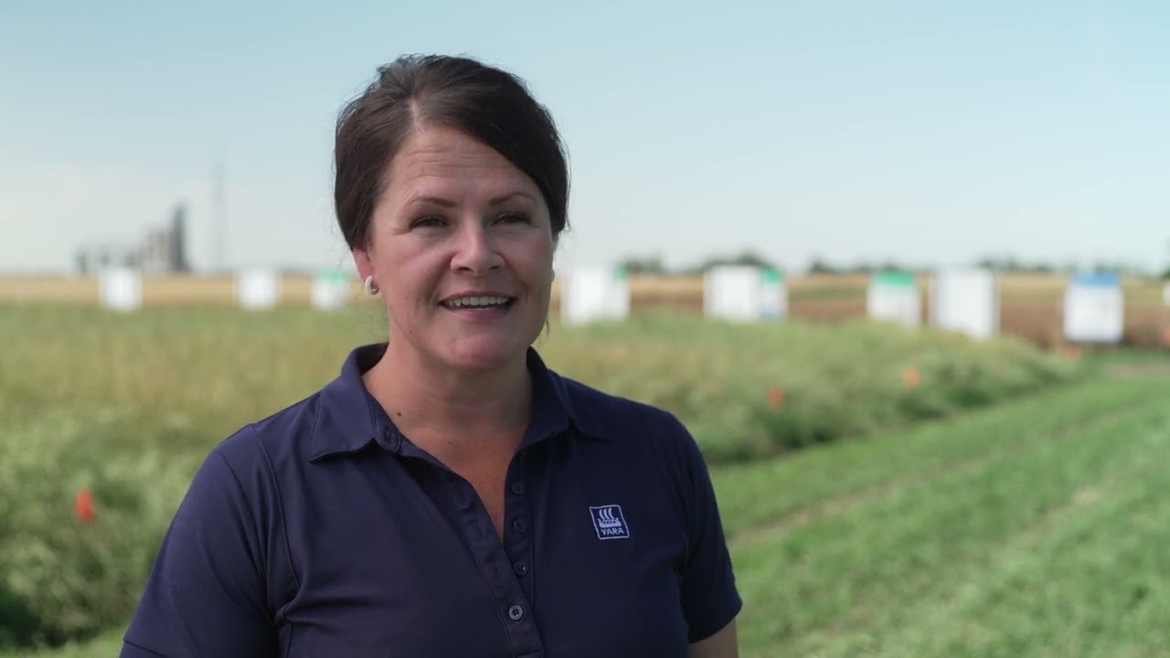 Yara Biostimulant Demonstration Farm