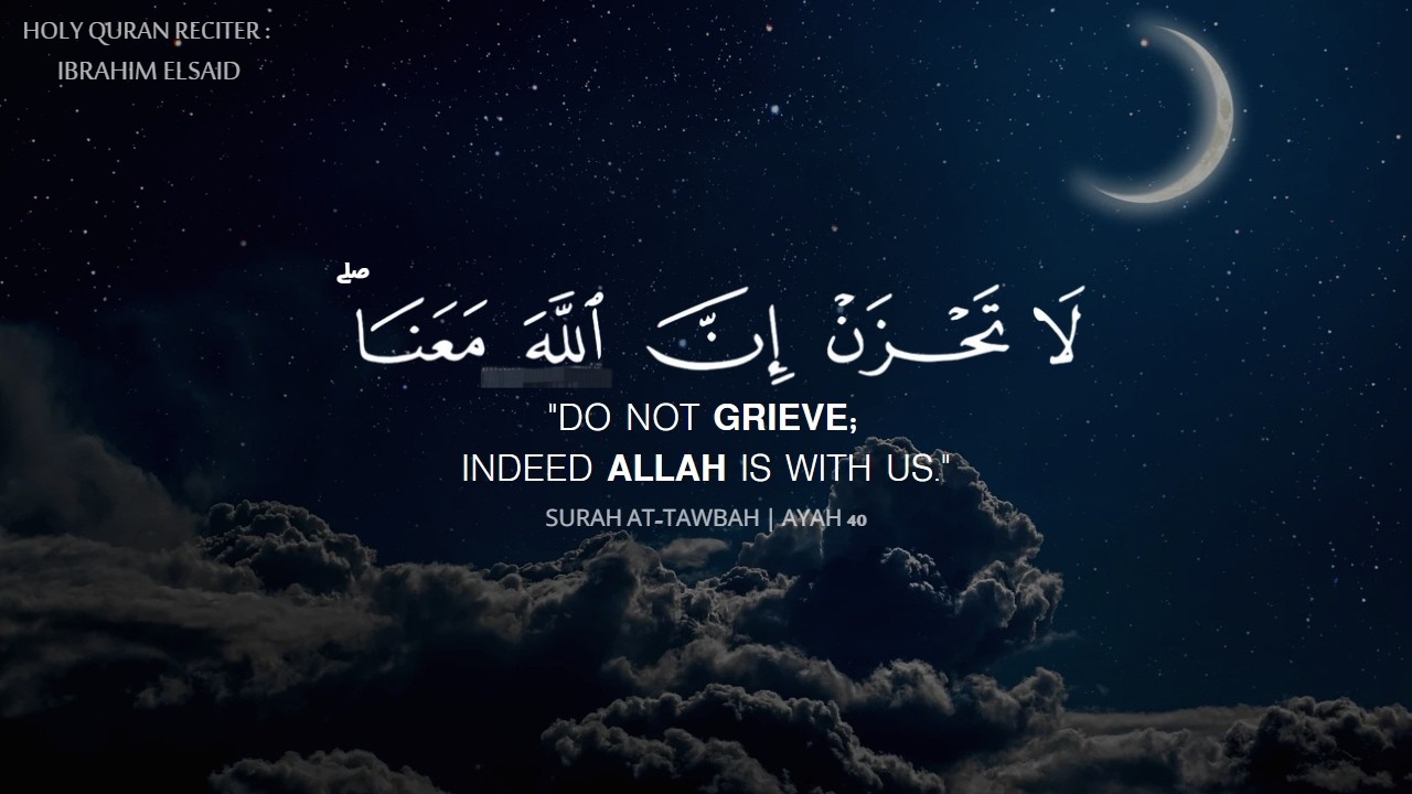 ساعة كاملة⏱️🎧 | تلاوة لمن أراد الهدوء والراحة النفسية للدراسة والتركيز 📚 | القارئ ابراهيم السيد ♥️