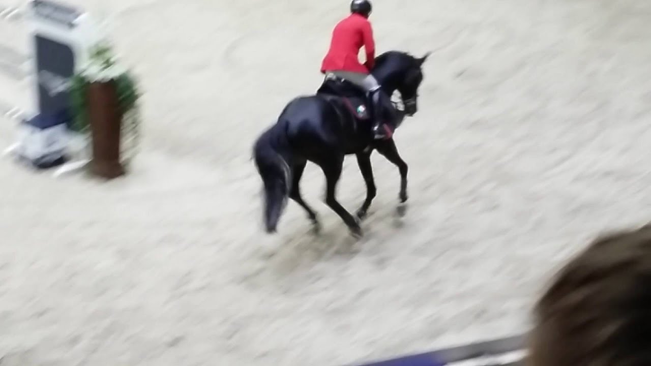 Hans-Dieter Dreher - Embassy II, Nations Cup, HIHS 2015