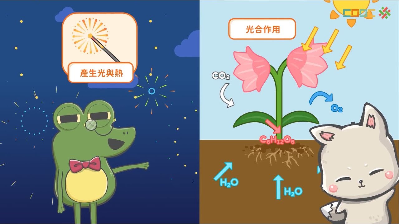 108新課綱｜八下理化｜【觀念】常見的化學反應
