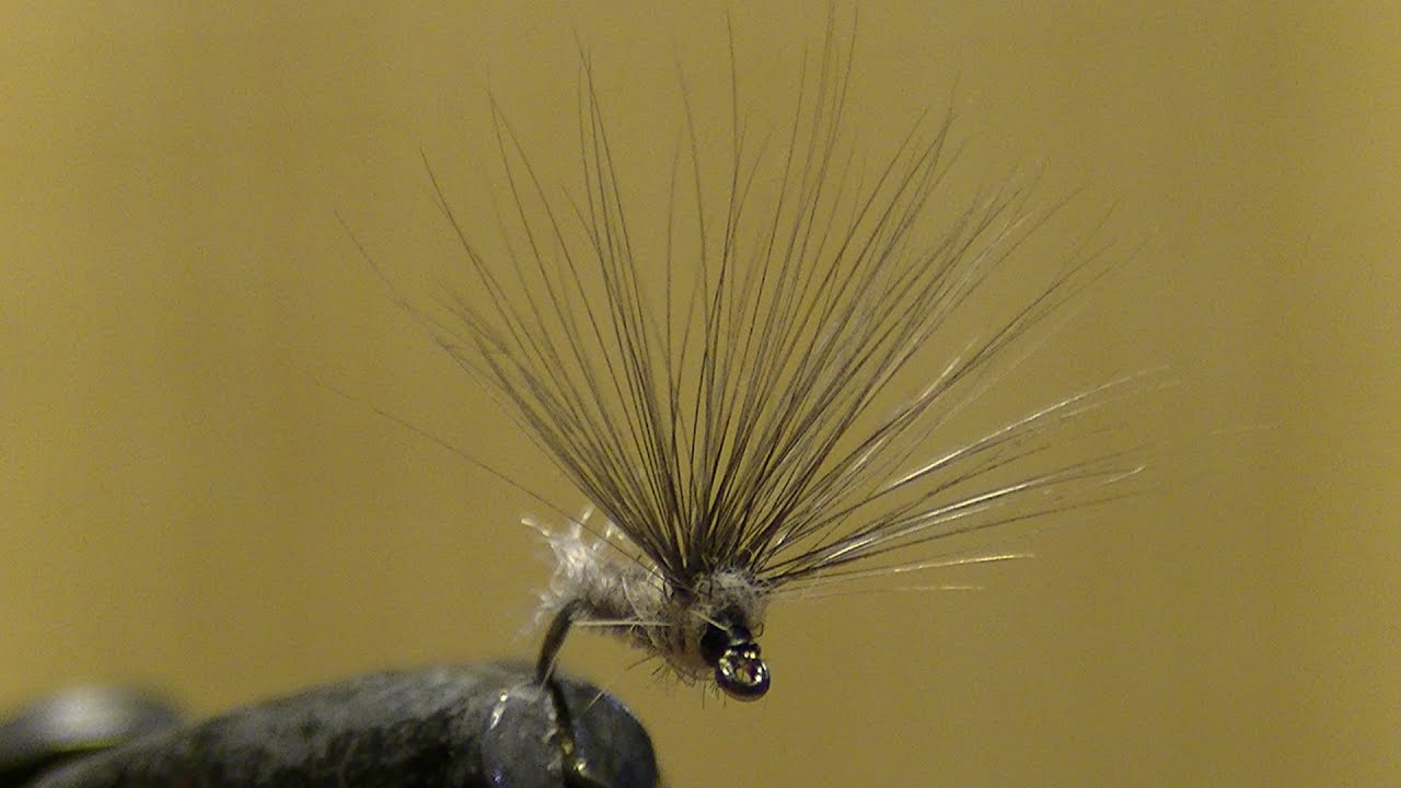 Montage Mouche : Mouche sèche montage élastique