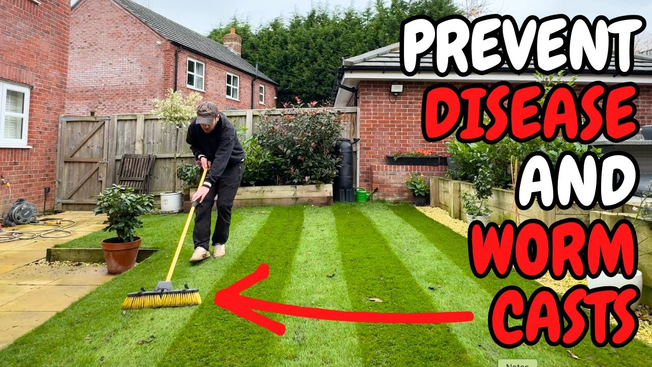This One Thing will Help Prevent DISEASE and WORM CASTS in Your Lawn