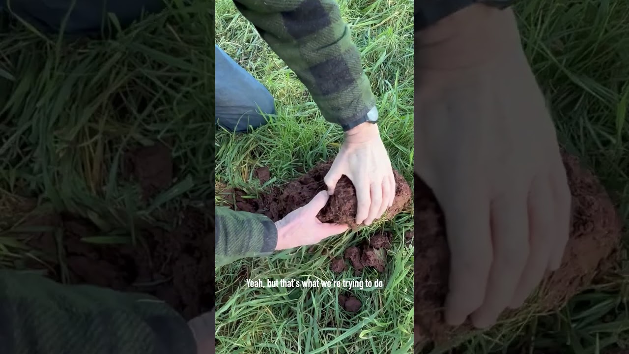 What are we actually trying to do with our soil?