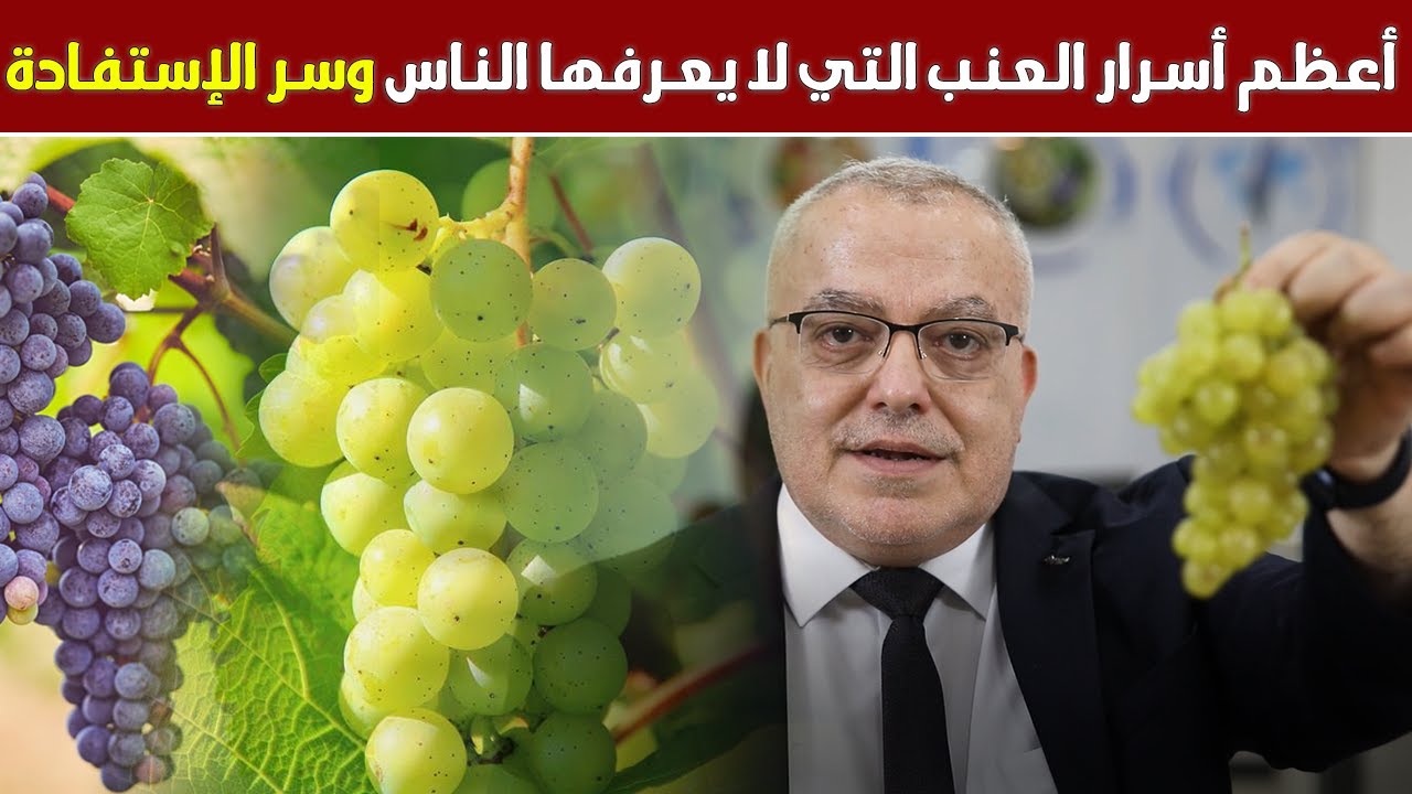 تناول العنب بهذه الطريقة لن تصدق ماذا يفعل فوائد العنب وماذا يحدث لجسمك عند تناوله وأي لون الأفضل ؟