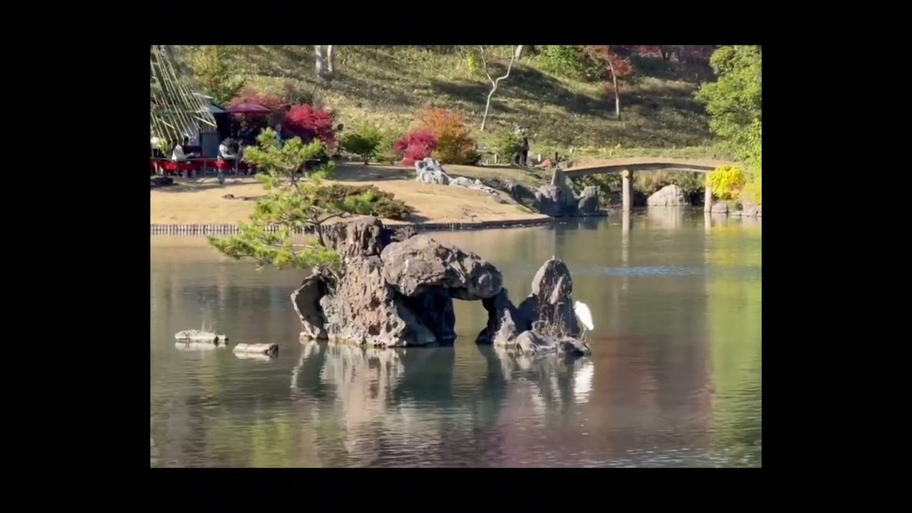 Rikugien Garden ,Tokyo- during Autumn / winding paths, vibrant autumn foliage, Japanese landscaping