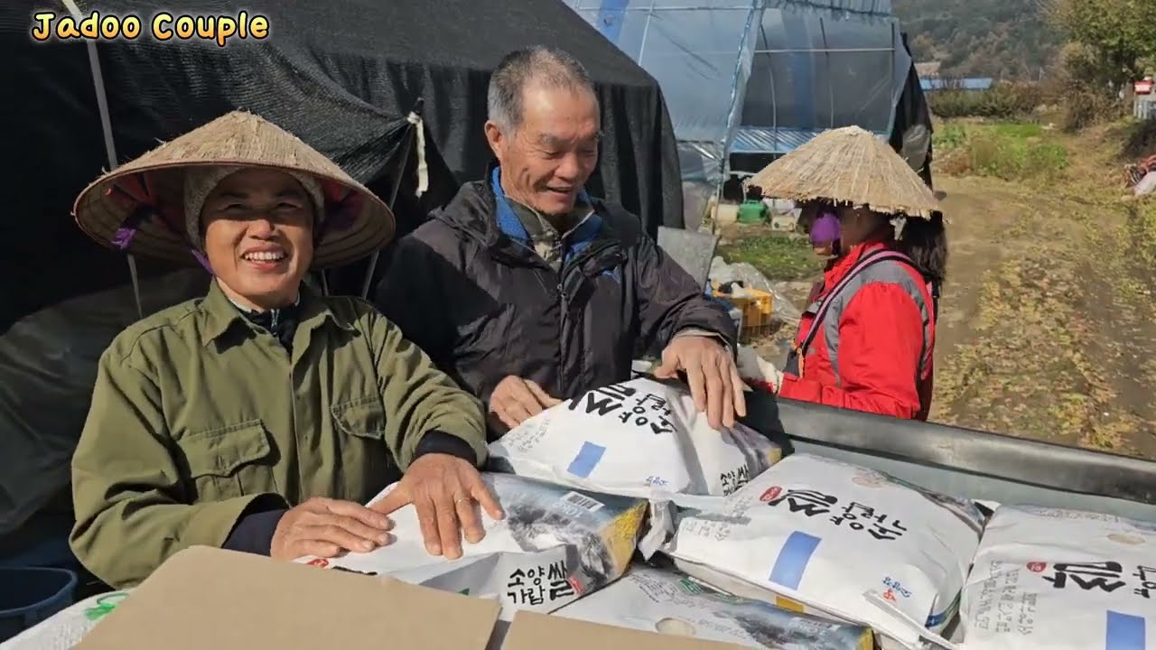 처음쌀농사 수확탈곡해서 가져온 한국사위을 본 베트남 장인장모님반응